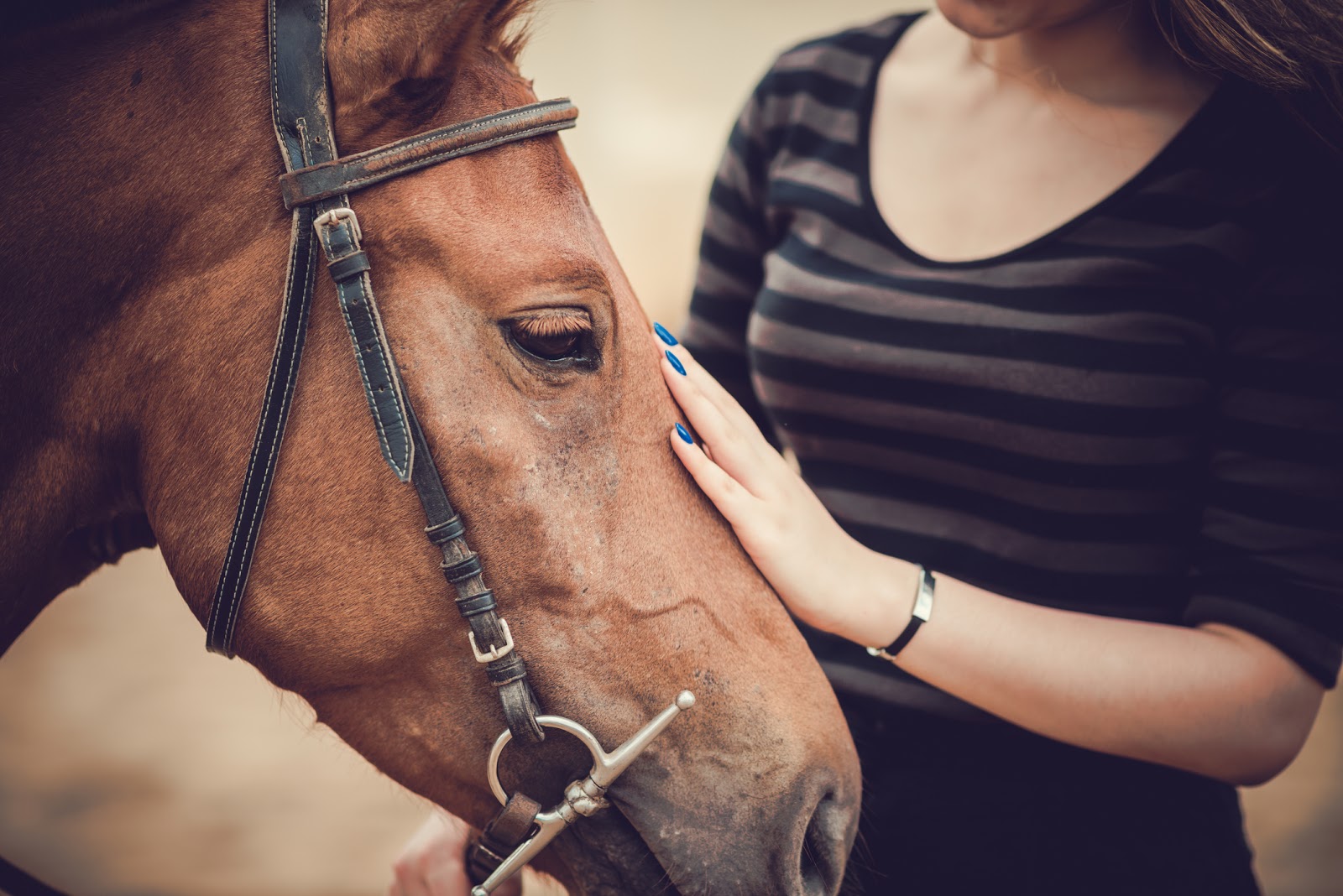 The Importance of Equine-Assisted Therapy during Recovery